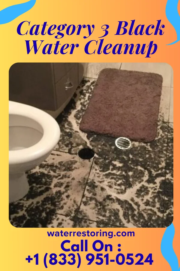 Category 3 Black Water Cleanup in Williamson, AZ